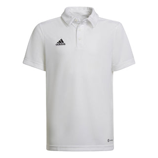 adidas POLO SHIRT adidas Junior Entrada 22 Polo Shirt - White